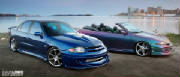 49228147cavy_pano.jpg