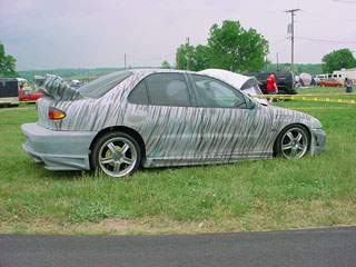 my_cavy_2004.jpg
